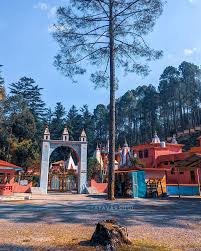 Binsar